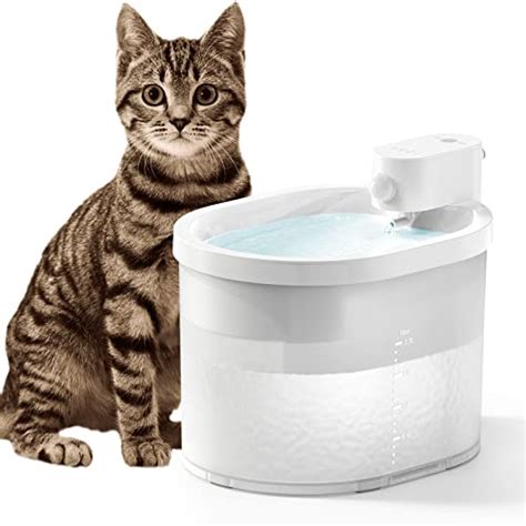 Best Battery-operated Cat Water Fountain Can Provide Your Cat With A ...