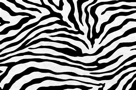 Images Of Zebra Print