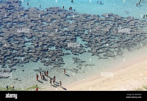 hanauma bay snorkeling Stock Photo - Alamy