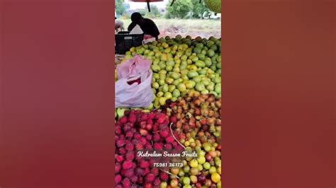 Kutralam Season Fruits | #shorts - YouTube