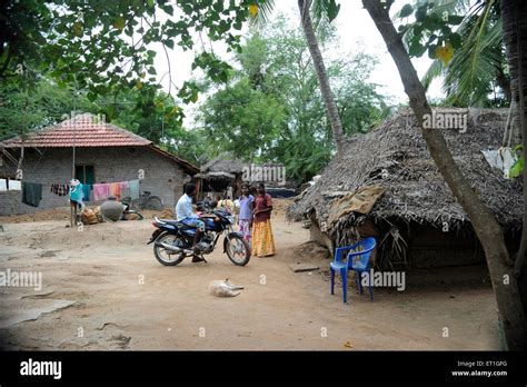 Village scene in Thanjavur ; Tamil Nadu ; India NO MR Stock Photo - Alamy