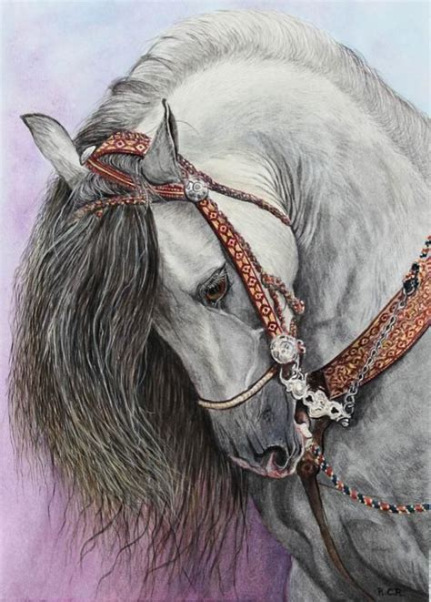 andalusian | Horse art, Horses, Equine art