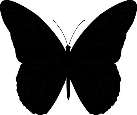 Free Butterfly Silhouette Png Download Free Butterfly Silhouette Png ...