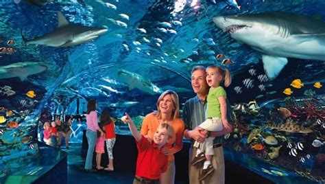 Tickets For Aquarium In Gatlinburg Tennessee - Aquarium Views