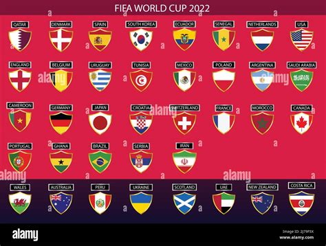 FIFA world cup Qatar 2022. Qualified countries shield flags vector ...