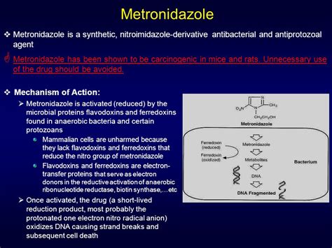 Metronidazole Mechanism Of Action Animation