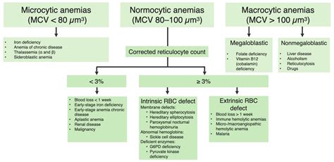 Anemia Causes Chart