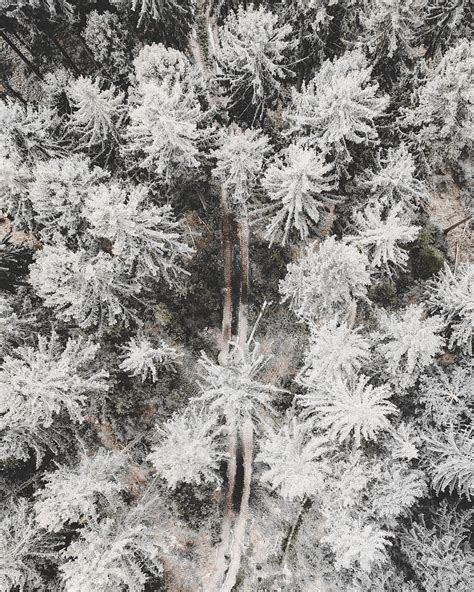 Forest, road, aerial view, trees, snow, winter, HD phone wallpaper | Peakpx