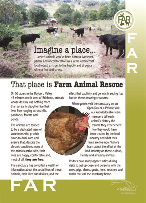 Farm Animal Rescue - Farm Animal Rescue