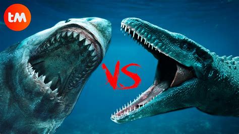 MEGALODON VS MOSASAURUS: Who's The KING Of The SEAS? - YouTube