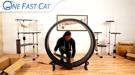 10 Best DIY Cat Wheel Plans (Make a Cat Exercise Wheel)