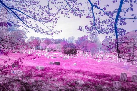 Getting into Otherworldly Infrared Landscape Photography - Auden Johnson