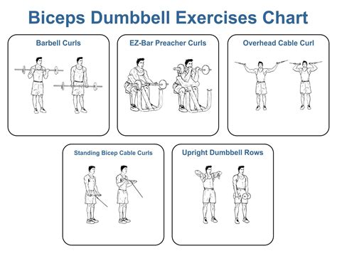 Dumbbell Exercises Chart - 10 Free PDF Printables | Printablee ...