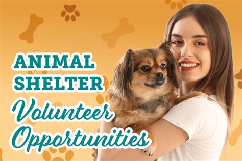 Animal Shelter Volunteer Opportunities - Your Town Monthly