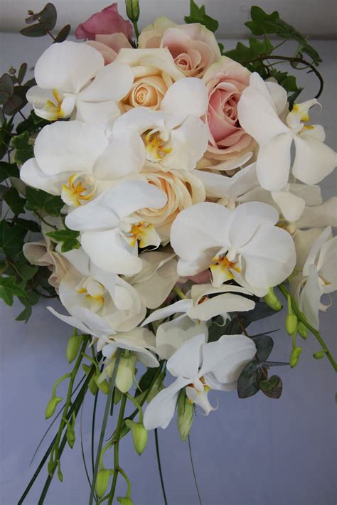 The Flower Magician: Gentle Shower Bouquet of Orchids & Roses in Blush ...