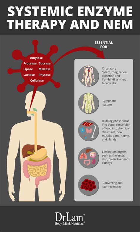 Systemic Enzyme Therapy: Powerful Techniques for Improving Your Health