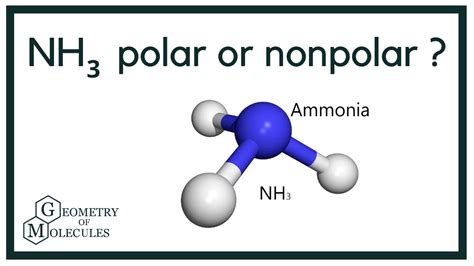 Understanding the Polarity of Ammonia (NH3)