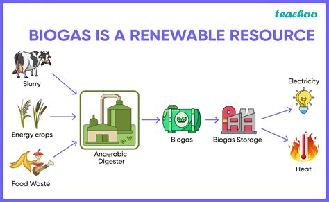 Biogas Power Plant Diagram