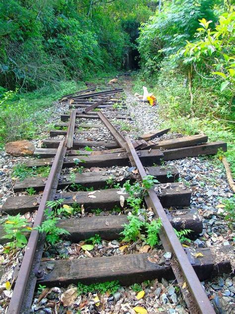 Abandoned Railroad Tracks | Trilhos de trem, Lindas paisagens, Trilhos ...