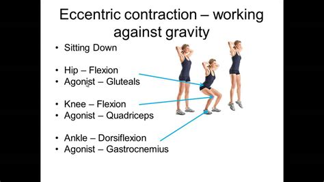 Eccentric Contraction Squat