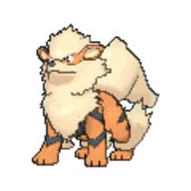 Pokemon Sword and Shield Arcanine | Locations, Moves, Weaknesses