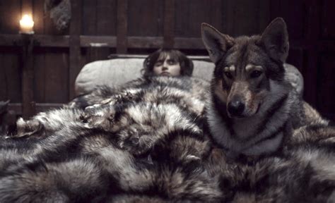 Game Of Thrones Direwolf Pups