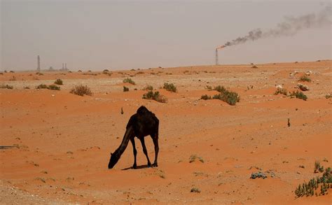 Saudi Arabia: The worst-performing country on battling climate change ...