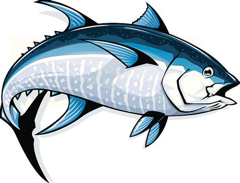 Tuna Fish Illustrations, Royalty-Free Vector Graphics & Clip Art - iStock