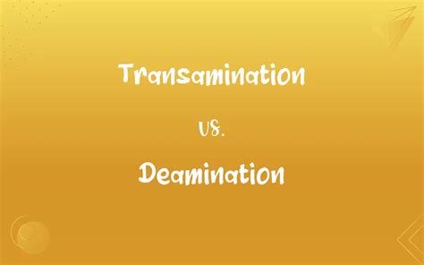 Transamination vs. Deamination: What’s the Difference?