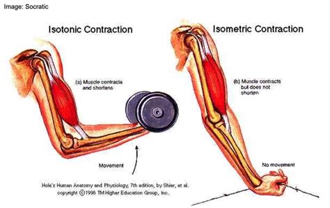 Adaptations from Isometric Contractions - GymAware