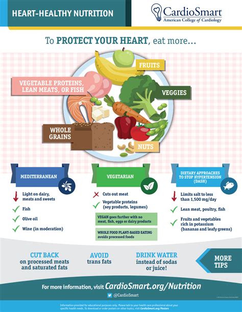 Food Infographic: Everything You Need to Know | Edraw