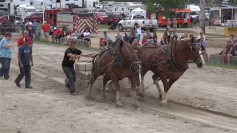 Horse Pull Competition Full Pulls 7000 and 7500 pounds Port Perry Fair ...