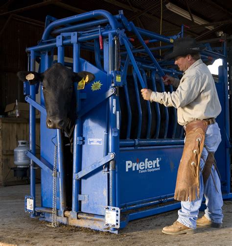 Handling Equipment Equipment | Cattle ranching, Mini cows, Cattle