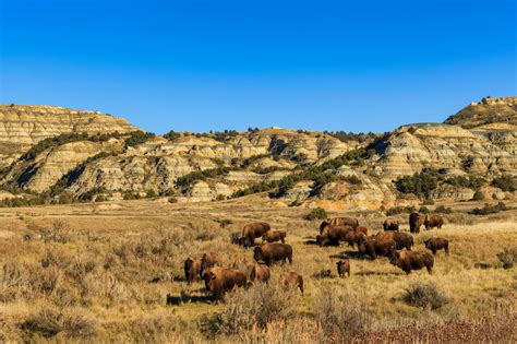 Theodore Roosevelt National Park: The Complete Guide for 2022 (with Map ...