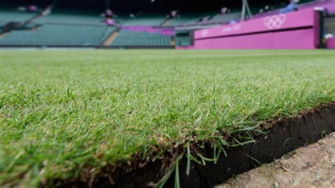 Wimbledon's gorgeous grass has a Canadian touch - Team Canada ...