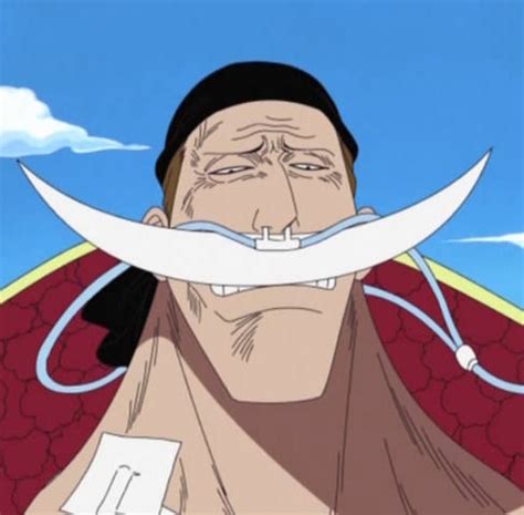 Whitebeard died at what age? - The One Piece Trivia Quiz - Fanpop