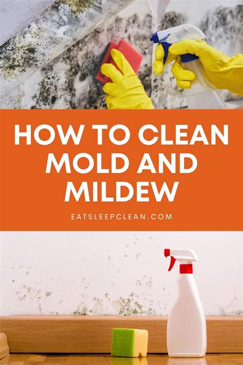 How to Clean Mold and Mildew | Mold and mildew, Cleaning, Cleaning mold