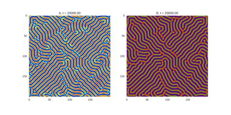 Turing Patterns