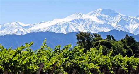 Essential Mendoza Wine Tasting | Custom Travel | SouthAmerica.travel