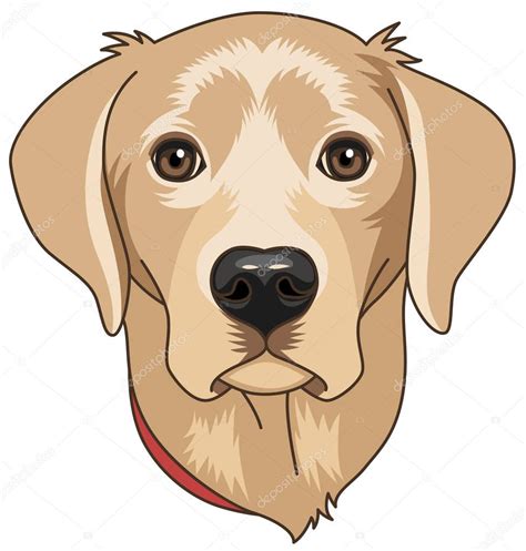 Head Beige Cartoony Labrador Isolated White Background Dog Symbol 2018 ...