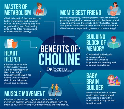 Choline: Signs of Deficiency, Benefits, and Food Sources - DrJockers.com