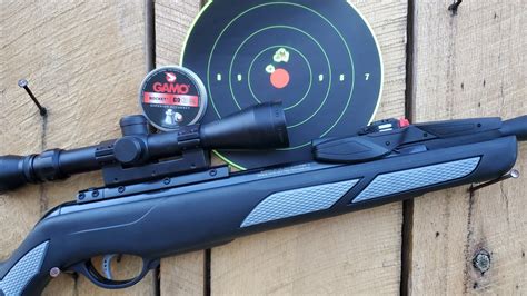 Reviewed: GAMO Swarm 10X Viper Gen 3i | NRA Family