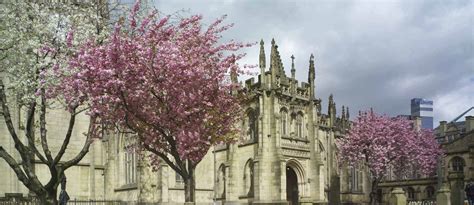 Manchester Cathedral - The Association of English Cathedrals