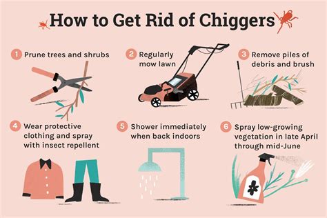 How to Get Rid of Chiggers on Skin, In or Around Home