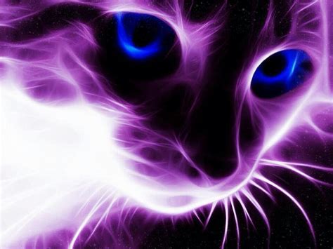 :0 Purple Cat, Purple Love, Neon Cat, Purple Animals, Cat Wallpaper ...