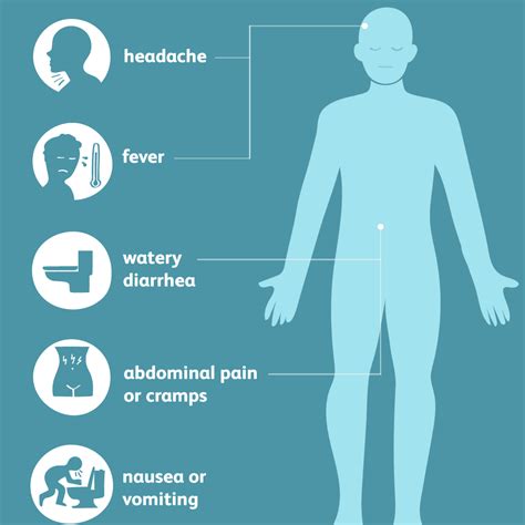 Salmonella: Signs, Symptoms, and Complications