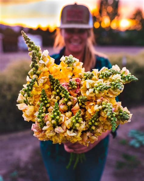 Starting a Flower Farm on a Shoestring Budget — Sierra Flower Farm