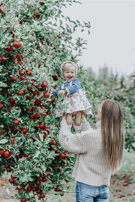 Orchard photo orchard photo shoot Photography apples orchard | COOL ...