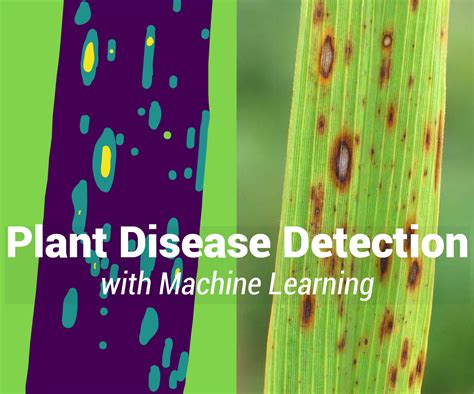 GitHub - Poulinakis-Konstantinos/Deep-Learning-Plant-Disease-Detector ...