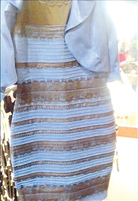 Dress color illusion tops 10 weirdest science news | Shanghai Daily